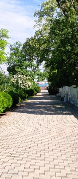 Анапа. Парк у Центральной набережной