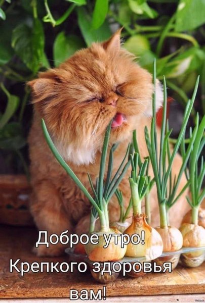 a87d041874f53b3779aa41ee2c958
