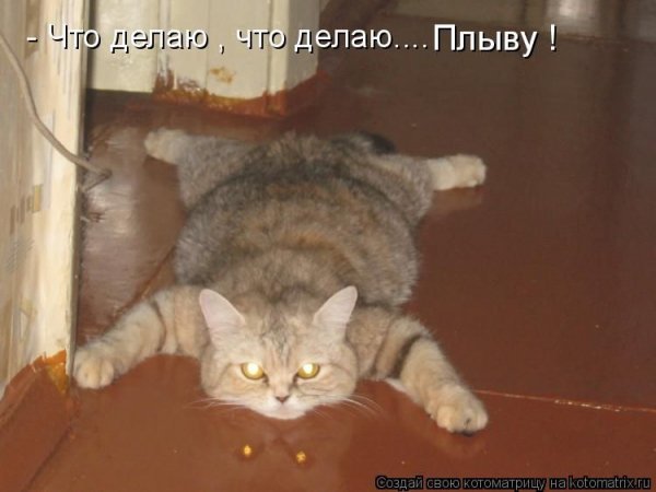 Плыву!