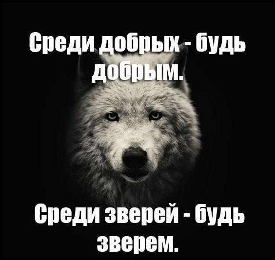 zVZzxLT1Lfo