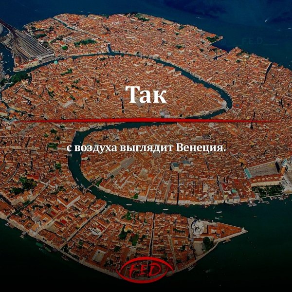 f.e.d ~p~CShXWZGDJs5~1