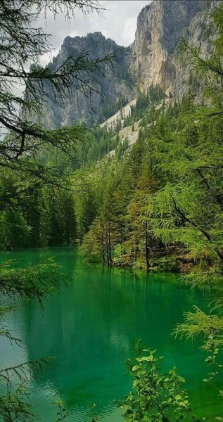 Арт Природа