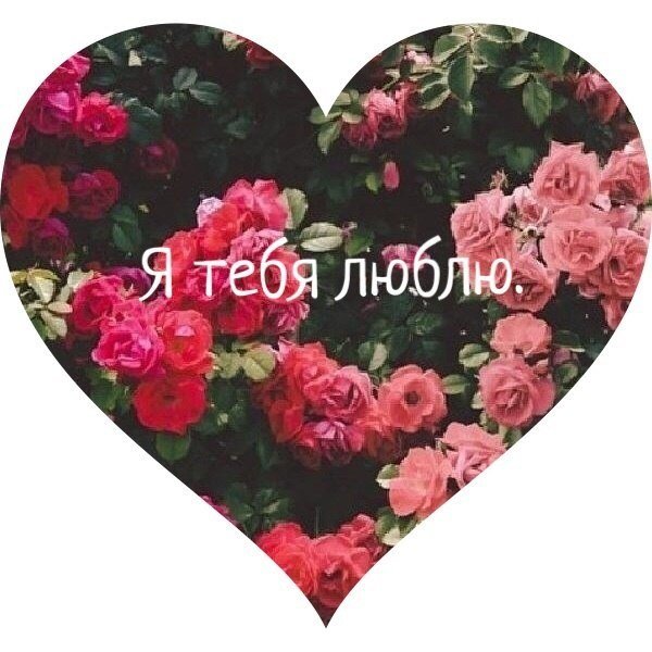 serebro ja shozhu s uma mne malo tebja