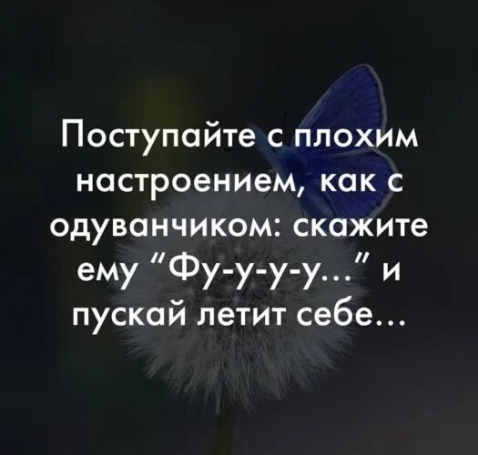 Верные слова!