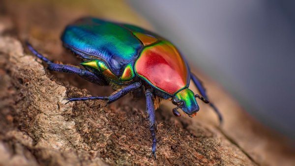 8c24450a891ad8fdf495718390101781