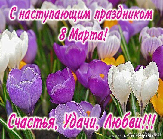 AKULA.IN EHbbxOZE9zo-.ru