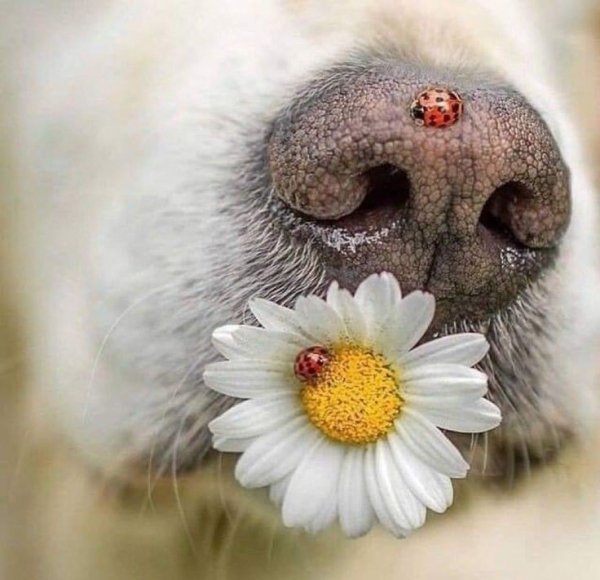 B67a0fcde99888a79f70256d006a2519