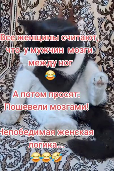 IMG 20260530 150759