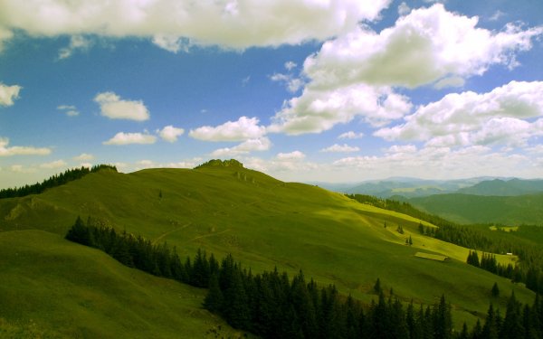 Wallpapers Mix 1960 044