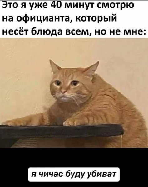 picture_399726705