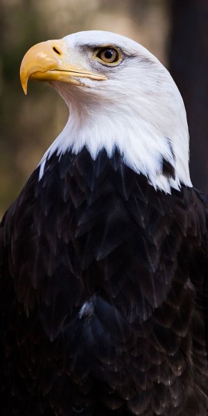 F38e5241af4a05274fe52fbe29eb9b44