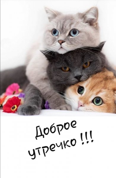 Доброе утречко!!!