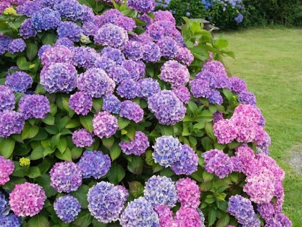 image (3) (4)