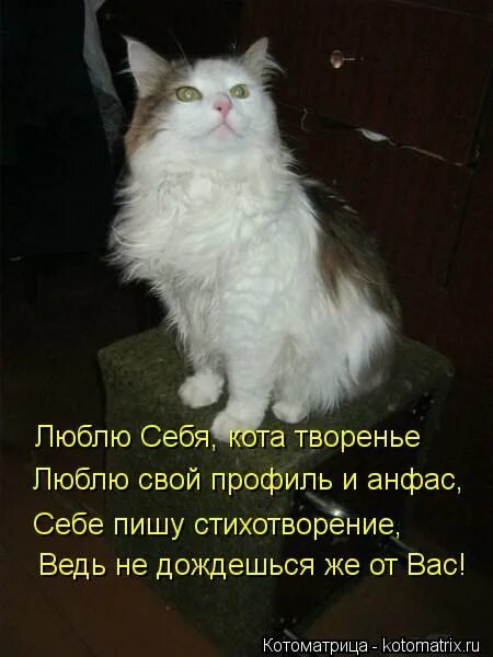 Да! ))