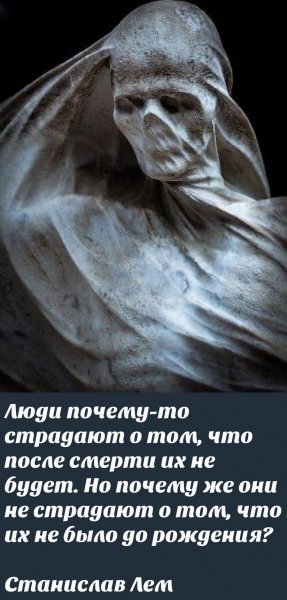 IMG 20251114 163426