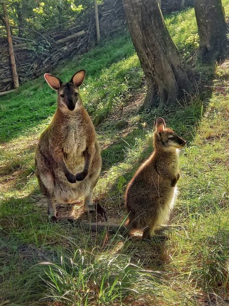 -5415914594905483563 121