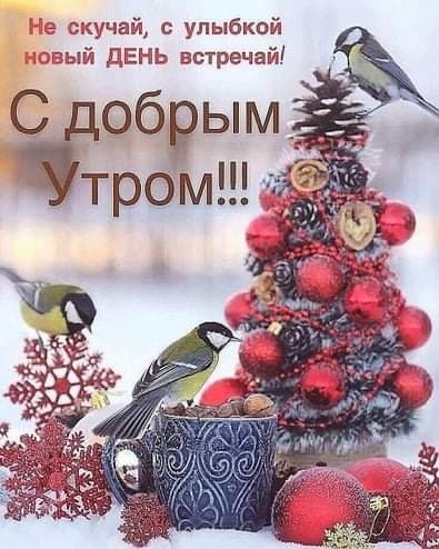 FB IMG 1608291609325