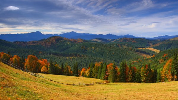 Ukraine Mountains Forests Autumn Grasslands