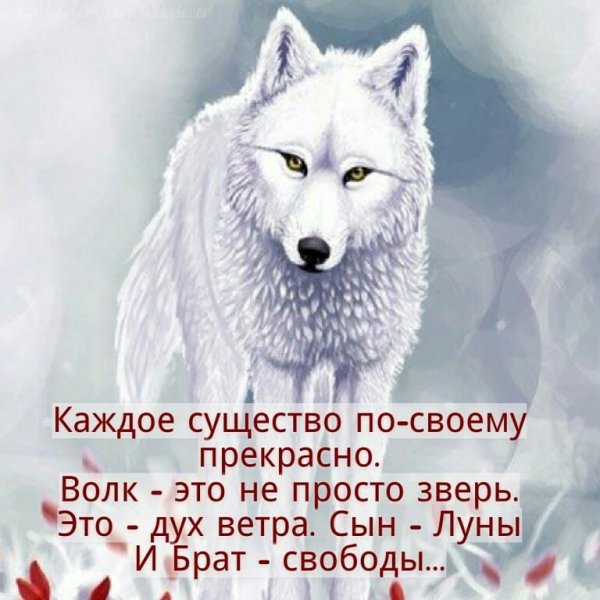 И брат - свободы...
