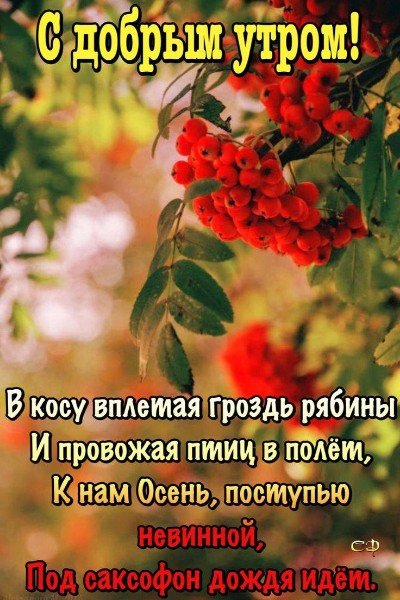 picture_348832499