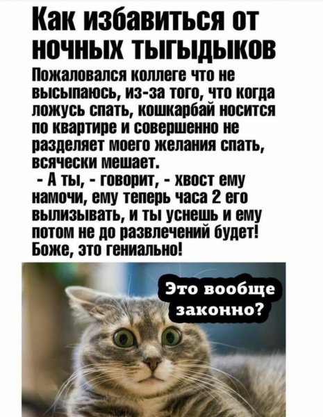 IMG 20241115 004013 826