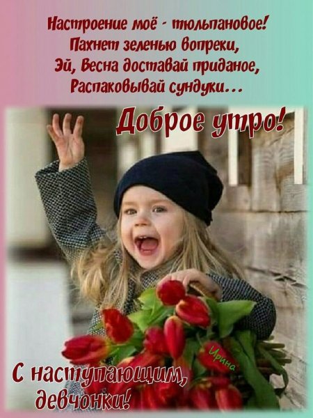 D6b2f31e55b9bf34fe62df1816bdde43