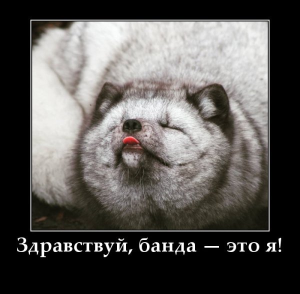PhotoFunia-1722310706