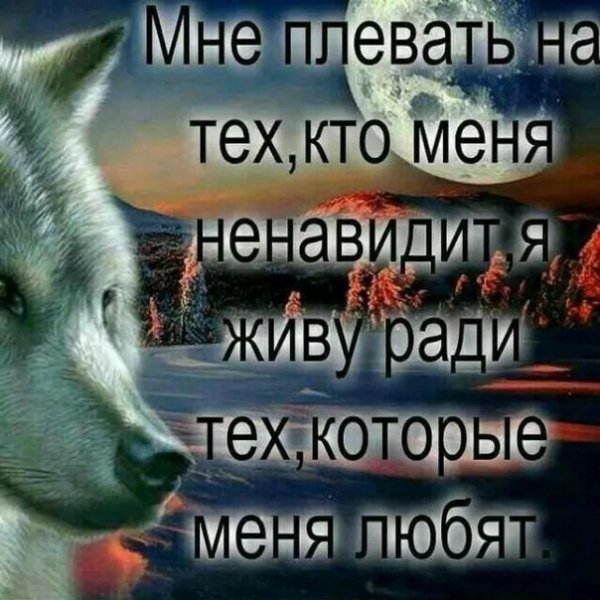 HOFtAmXDc5o