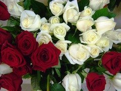 bb6745c989210096d04dd4190403c38d