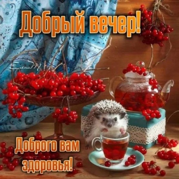 74bf09a354fdc43ede74a36d598e1312