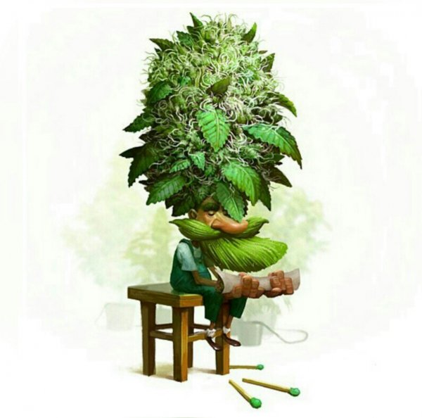 Weed
