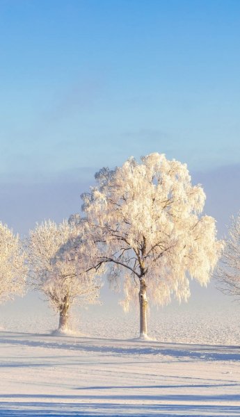 Screenshot 20260203-130528 One UI Home