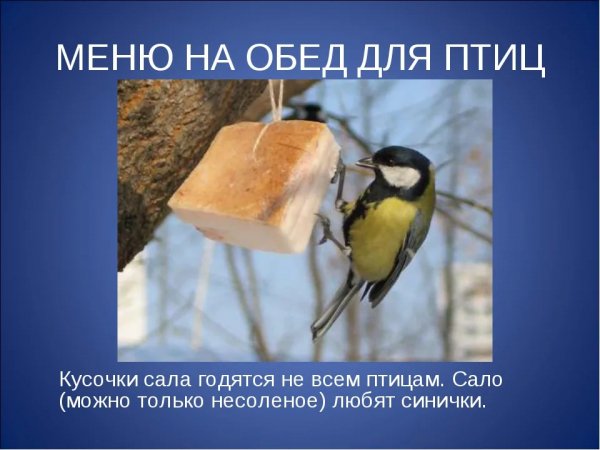 Меню