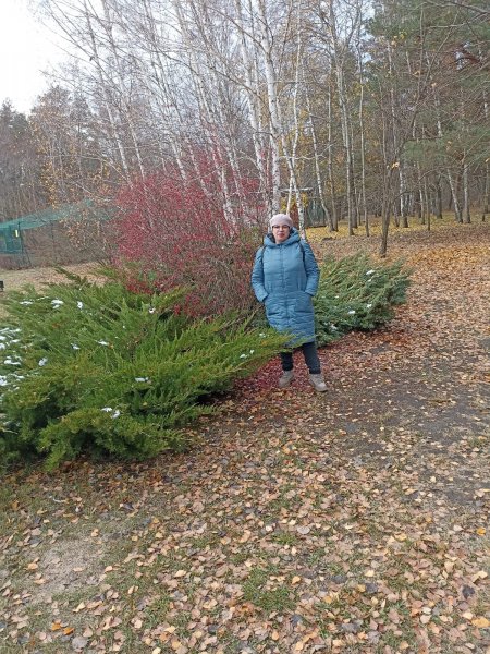 picture_375333272