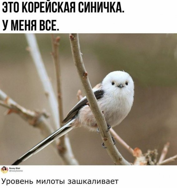 55c091959d1d6d9c23a96885fb9d6481