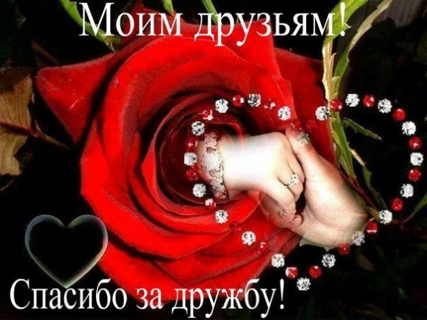HPjsWBMijmM
