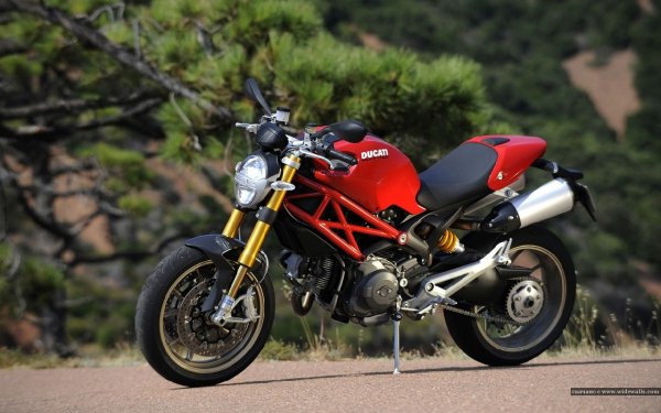 Ducati