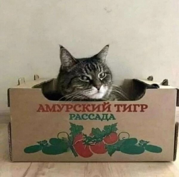 5ea0b83c67e6024e78b46dee8dcf9d63