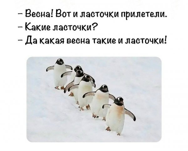 JFMaB5sBIdq9PtupEBHkkgJj0x99aEVwUl1fLDsP2 -NeOtDESZHr-grfBmB