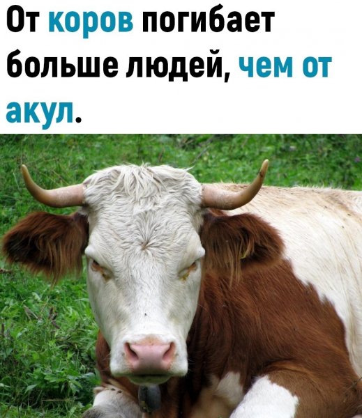 Qu25wqV1j94