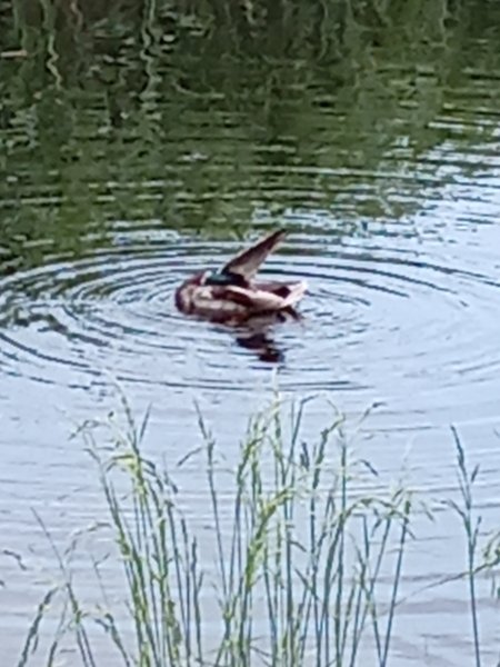 picture_389761507