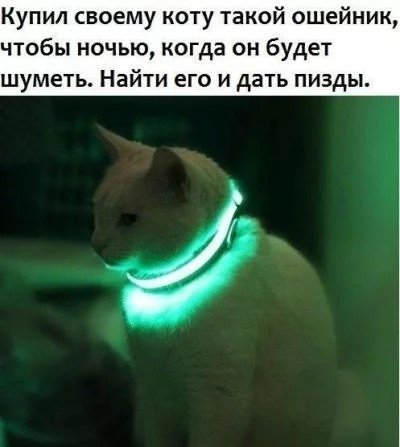 ошейник