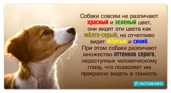 Это интересно