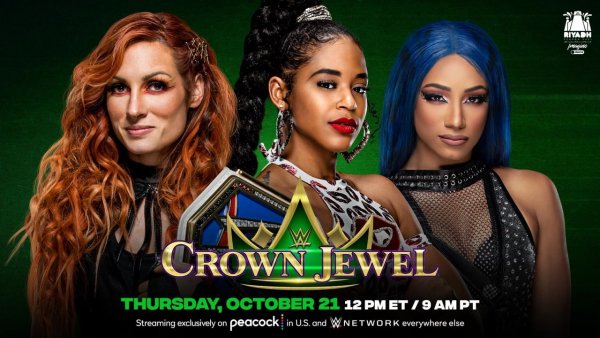 WWE (529)