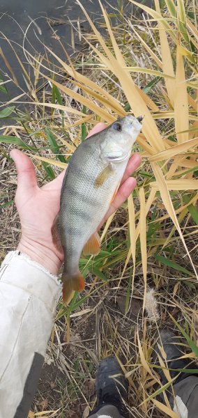 picture_283076247