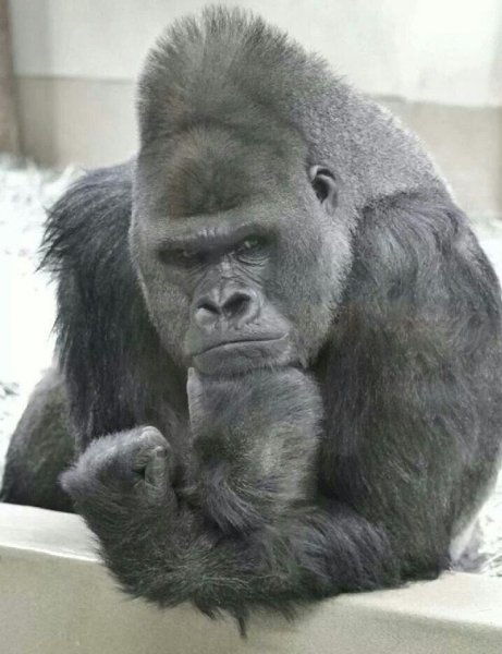 e4c60b922a83b904da83276ef04