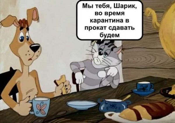 FB IMG 1586364948394