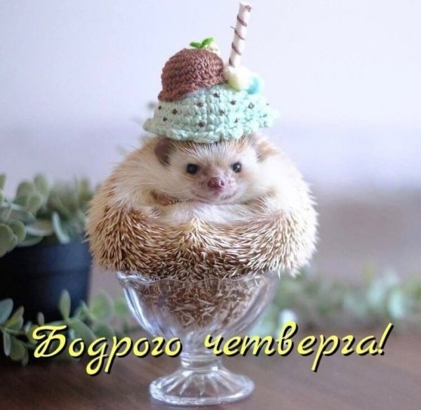 Abaa7008fc450b32c2927b94ea784aa2