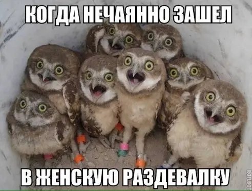 image (2)