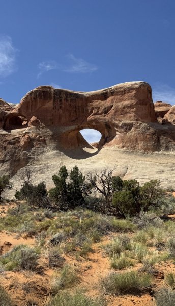 Screenshot 20260222-165618 One UI Home